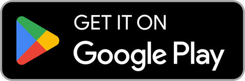 Google Store